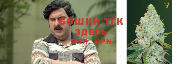 мяу мяу мука Костерёво