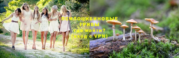 гидропоника Корсаков